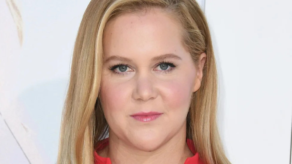 Amy Schumer posing in bikini during vacation