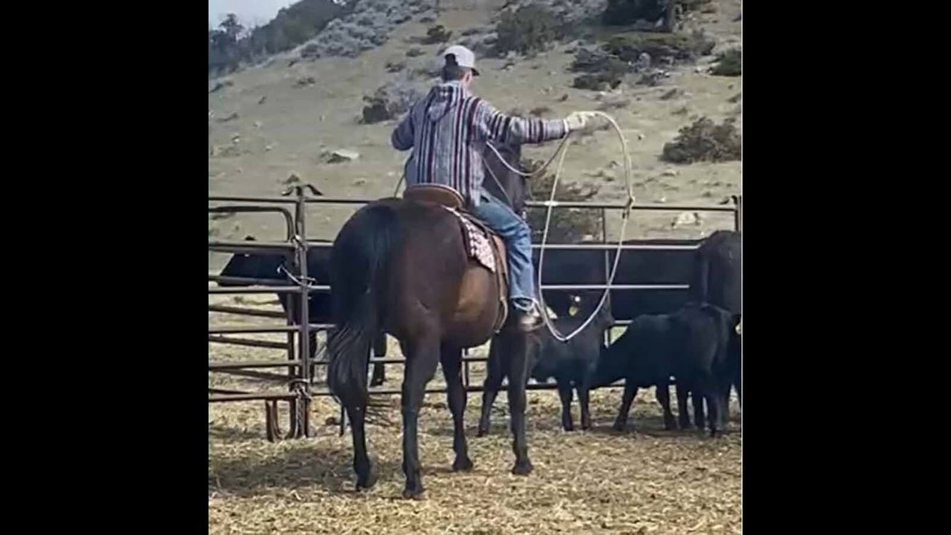 Jory Thomas, a 14-year-old ranch boy, at his family's property.
