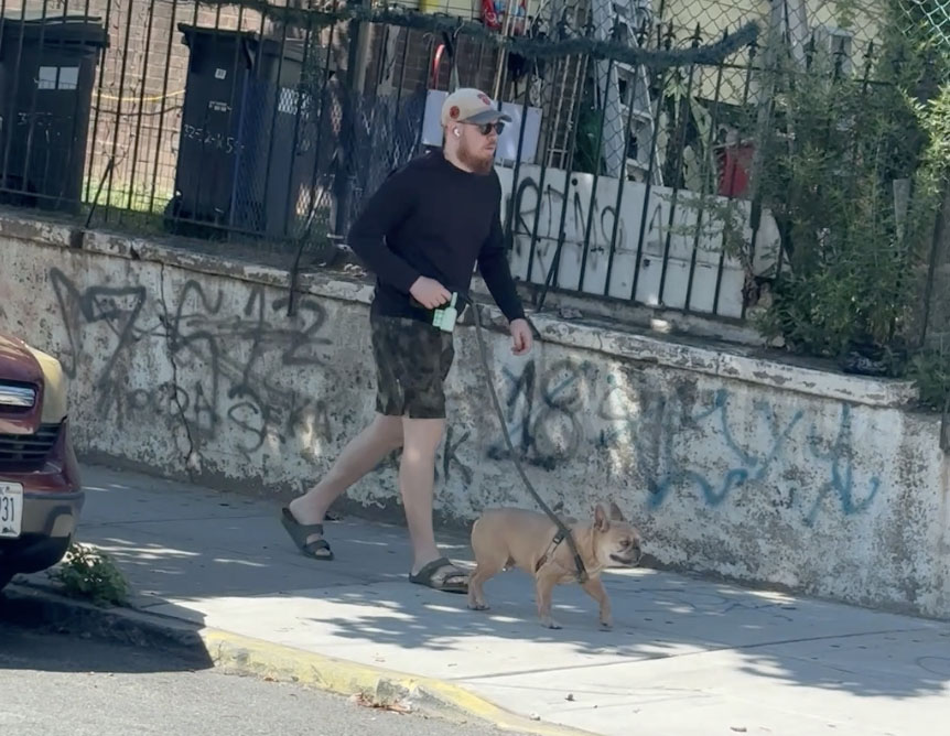 In the doghouse! AOC’s sad sack ex Riley Roberts walks their pooch in first look since split news
