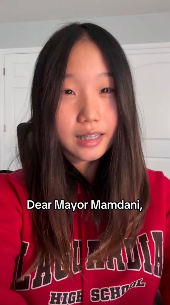 Staten Island teen issues Instagram plea to Mamdani for OMNY cards to cover express buses