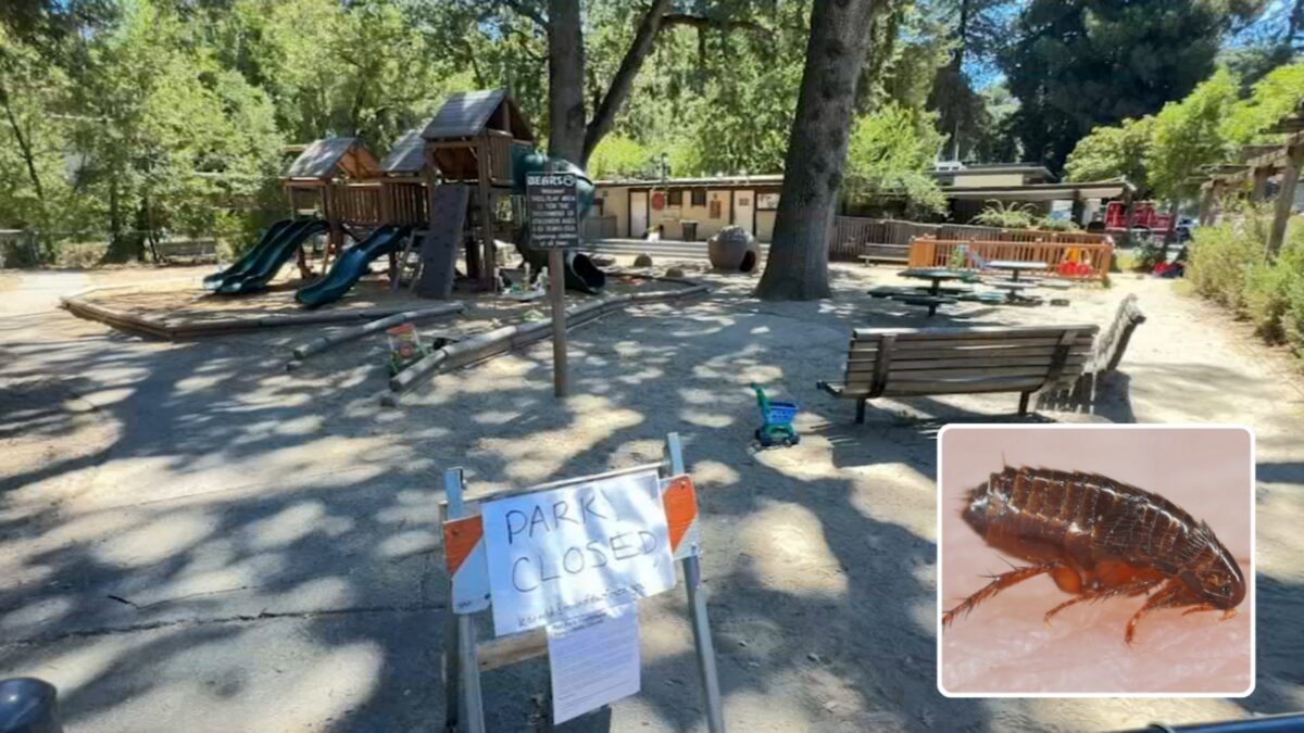 Disgusting infestation forces firefighters to evacuate Bay Area station