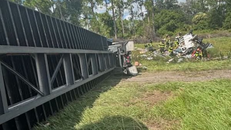 5-year-old autistic boy found dead just feet from his Florida home