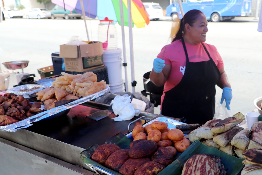 Dog-eaten meat, rats and urine: Stomach-churning details of 10K LA street food complaints revealed