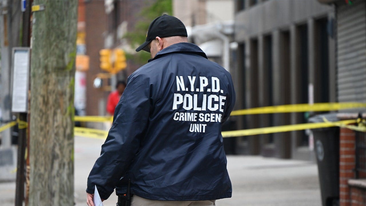 NYPD detective shot in standoff says he wanted to get job done ‘as safely as possible’