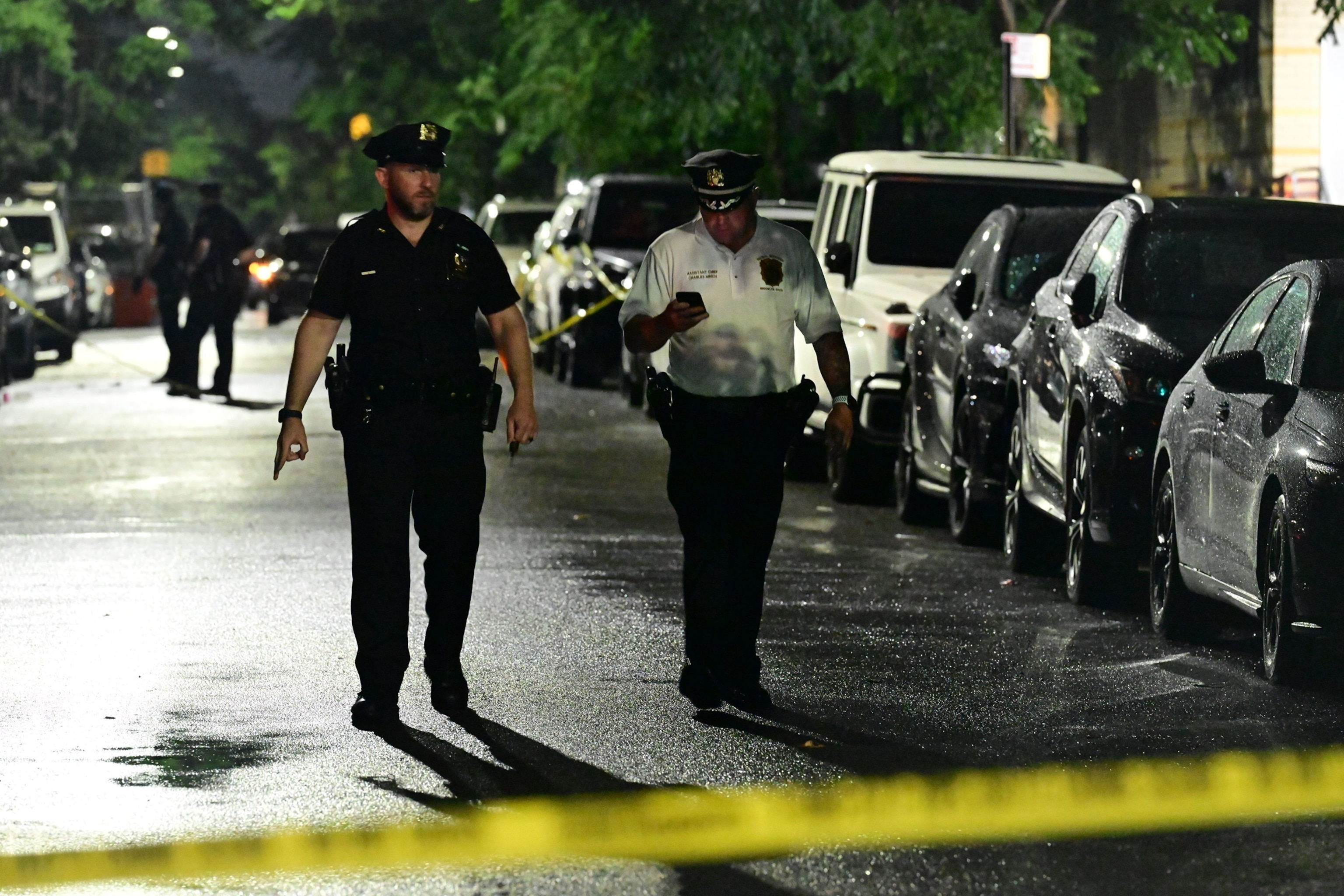 Two gunmen facing 88 charges for NYC shooting that injured 8, killed puppy at July 4th cookout: DA