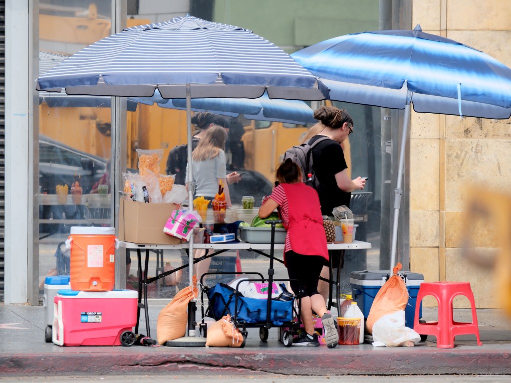 Dog-eaten meat, rats and urine: Stomach-churning details of 10K LA street food complaints revealed