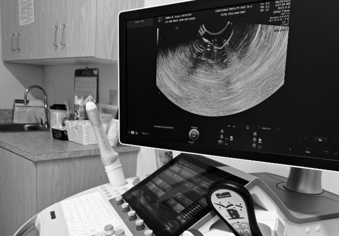 Surrogate fights for baby’s life against abortion-pushing bio parents: lawsuit
