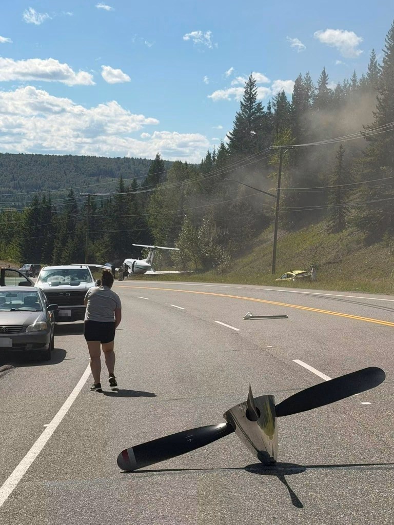 Mom of two killed in freak accident as plane making emergency landing hits her car