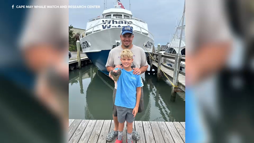 Massive Megalodon tooth found by 11-year-old boy on holiday