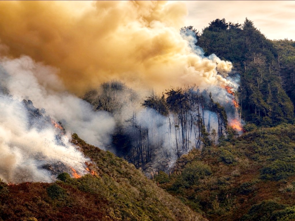 Fast-moving wildfire explodes in size again as it looms over luxury Big Sur mansions