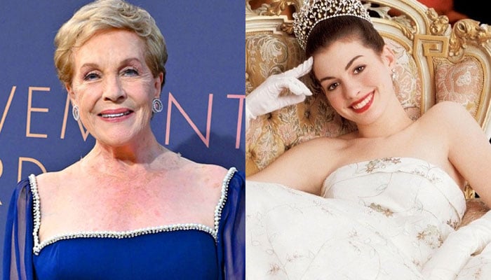 Major ‘Princess Diaries’ star confirms she won’t return for third film