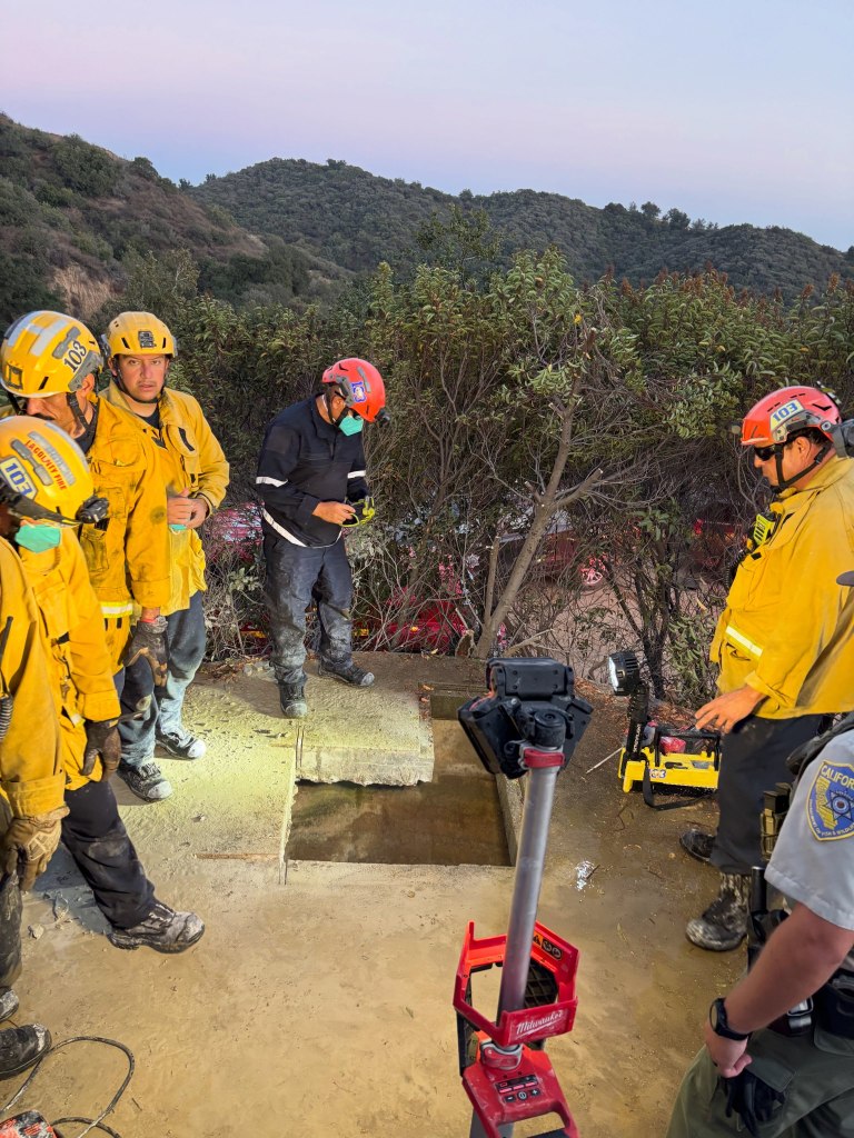 Mother bear and three cubs found trapped in bizarre spot in California