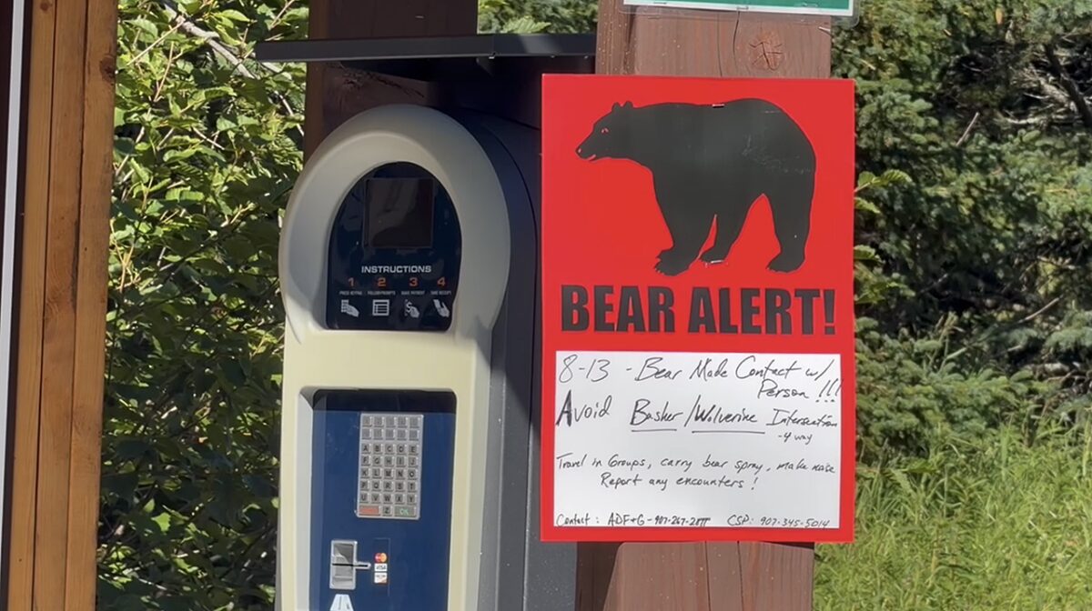 Alaska runner hospitalized after using bear spray to fight off brown bear on trail
