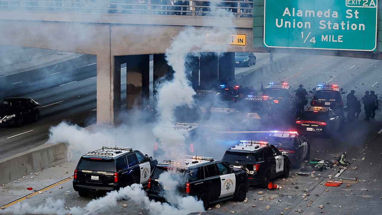 Illegal migrant who sprayed lighter fluid on burning cop car in wild anti-ICE riot learns fate