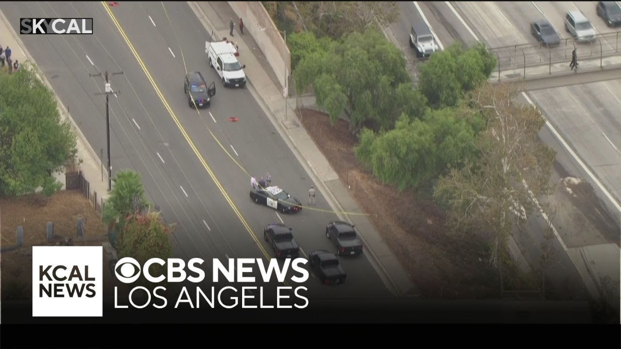 Chaos on major California freeway as pedestrian mowed down leading to mass congestion
