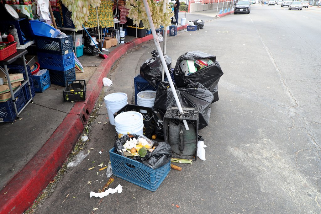 Dog-eaten meat, rats and urine: Stomach-churning details of 10K LA street food complaints revealed