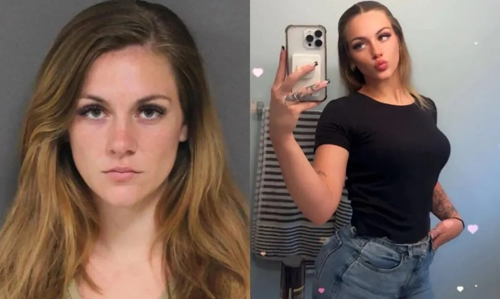NJ babysitter accused of child sex assault appears in pink handcuffs — as prosecutor hints at possible plea deal