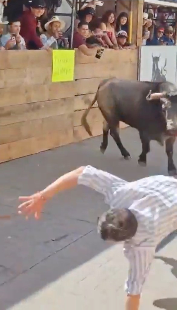 2 dead and 11 injured in horrific scenes at Mexican running of the bulls festival
