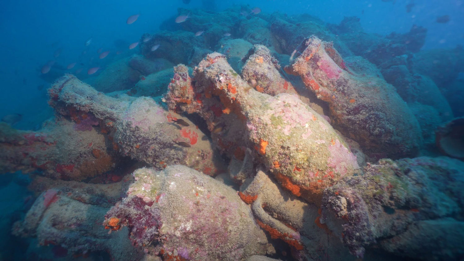 Roman shipwreck believed to be over 2,000 years old discovered in Sicily