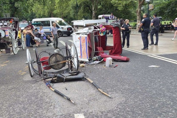 Family of teen killed in tragic Central Park horse and buggy mishap to sue NYC for $105M