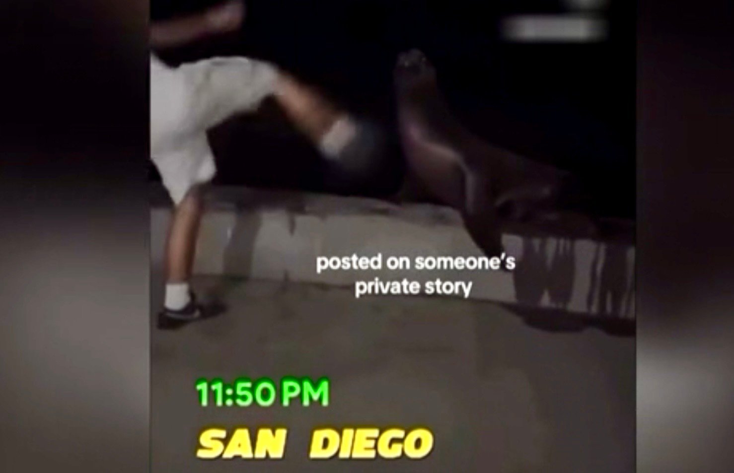 SoCal leaders weight extreme measures after teen caught kicking sea lion: ‘Completely out of control’