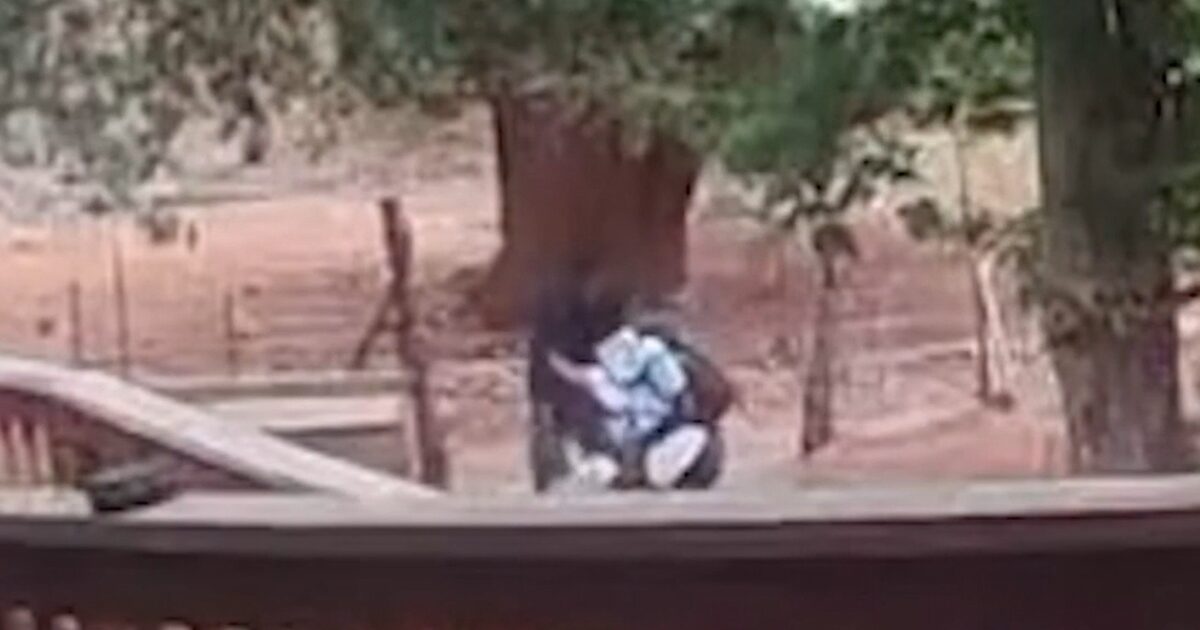NYC mom violently slashed by ex-con during Arizona hiking trip: ‘I can’t die like this’