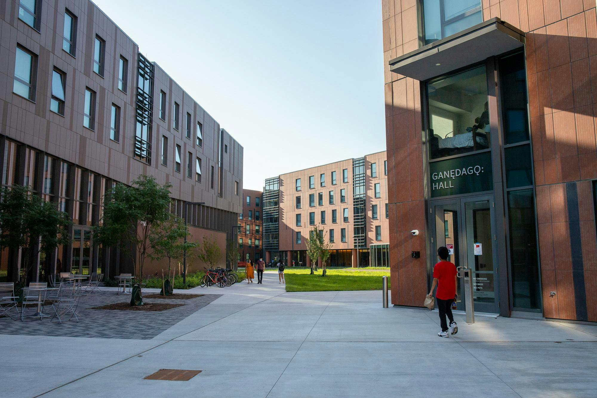 Cornell bans wild game butchering after students carved up bear in dorm kitchen
