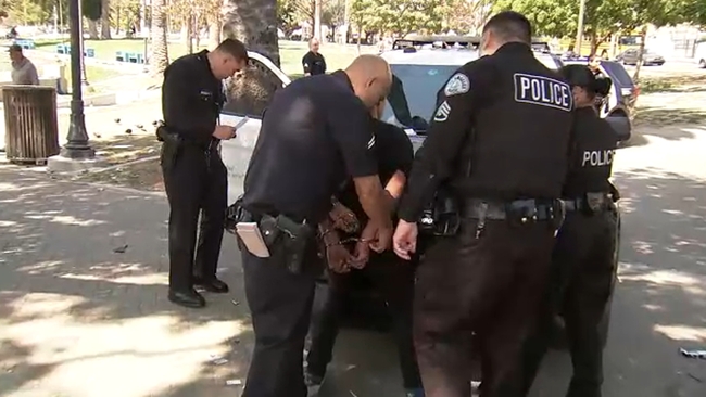 Cops sweep MacArthur Park in fierce crackdown on drug-fueled chaos