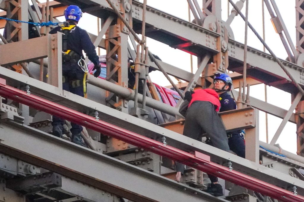 Naked nutjob jumps from Brooklyn Bridge after erecting flags