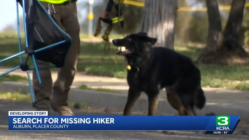Desperate search for hiker, 24, who vanished in California canyon prowled by bears, lions and snakes