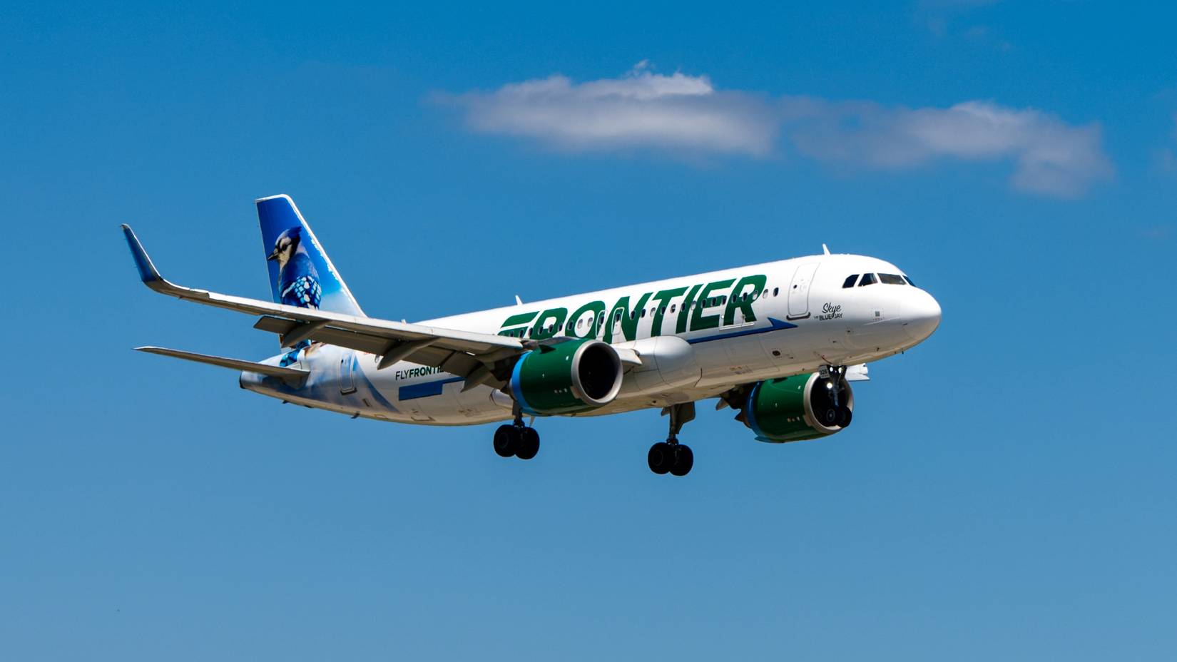 4 flight attendants mysteriously fall sick midair on Florida flight