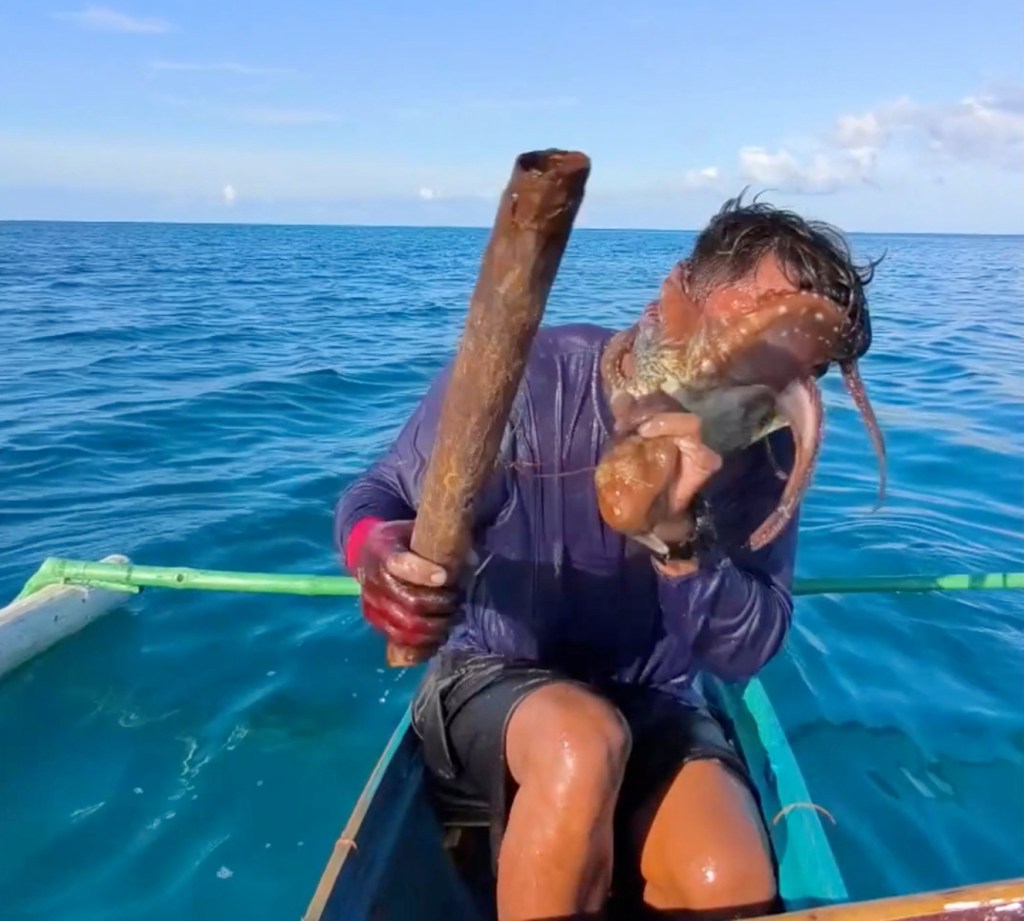 Wild video shows octopus latching onto fisherman’s face before he clubs it to break free
