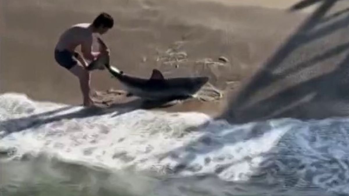 The fisherman working to release the hooked shark