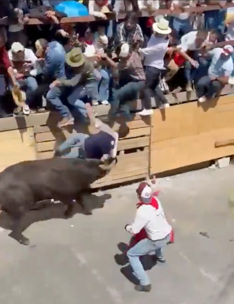 2 dead and 11 injured in horrific scenes at Mexican running of the bulls festival