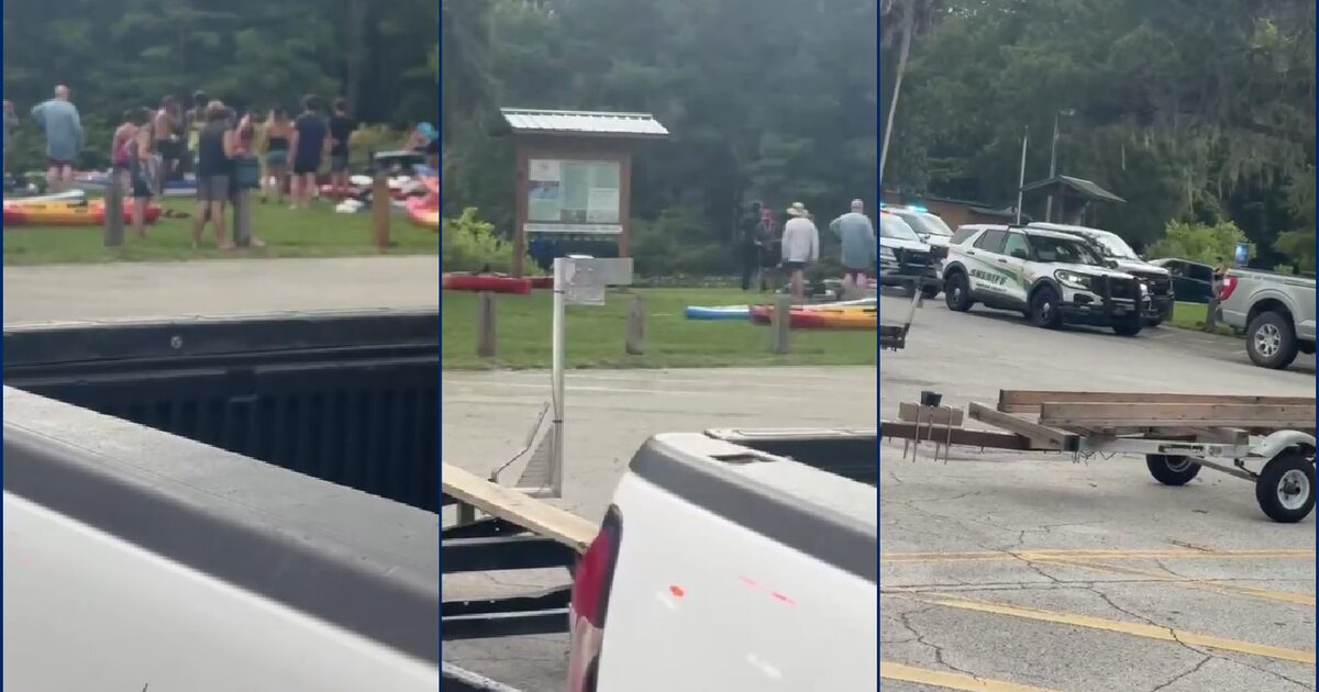Alligator removed from Silver River by wildlife officials after attack