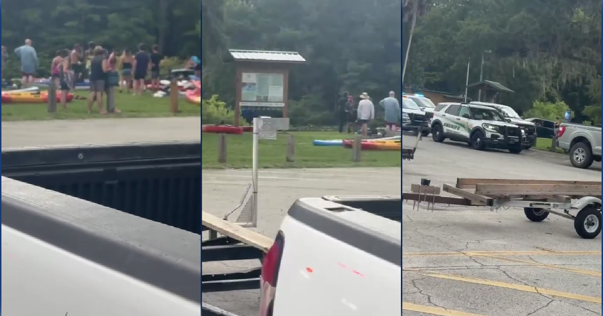 Alligator removed from Silver River by wildlife officials after attack