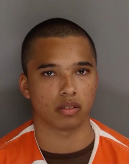 Teen accused of butchering beloved artist in mall attack that shocked quiet California beach town enters stunning plea