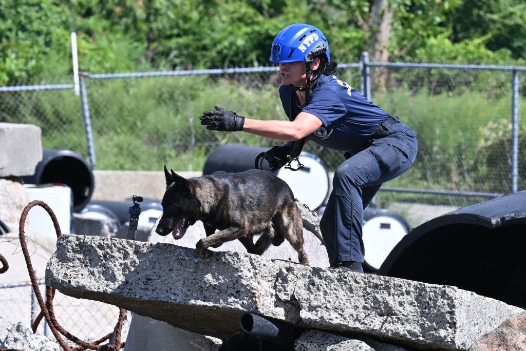 NYPD canines with touching 9/11 tie train for new elite mission