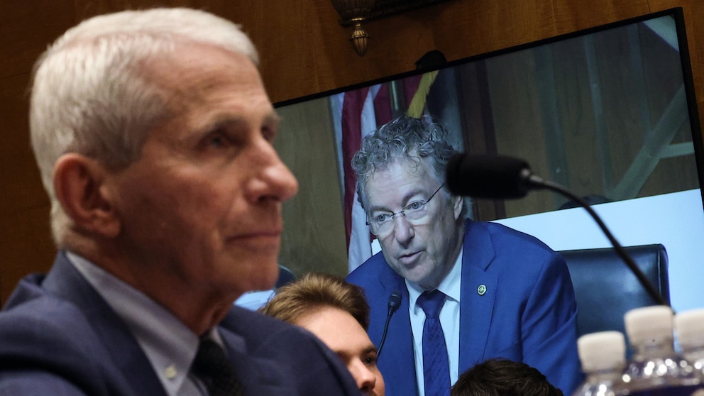 Janice Dean blasts Fauci for pleading the Fifth and calls him a coward