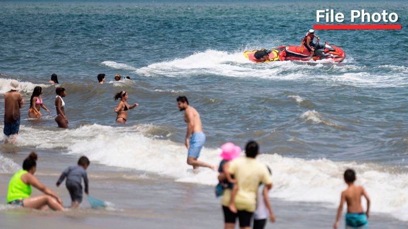 12-foot ‘Sharkzilla’ lurking in NY waters — and her massive bite marks have triggered wild mutant theories