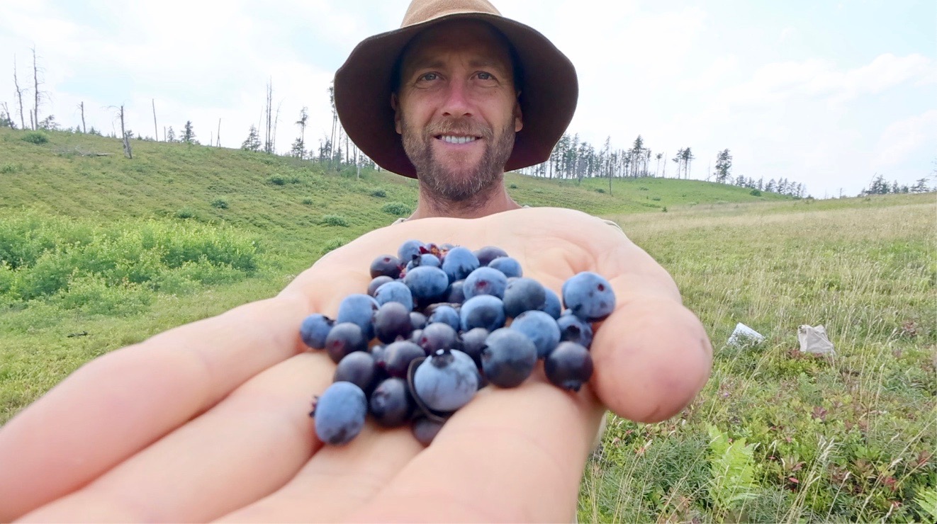 I'm foraging and won't spend a cent on food for whole year - it brings both joy and mercury poisoning