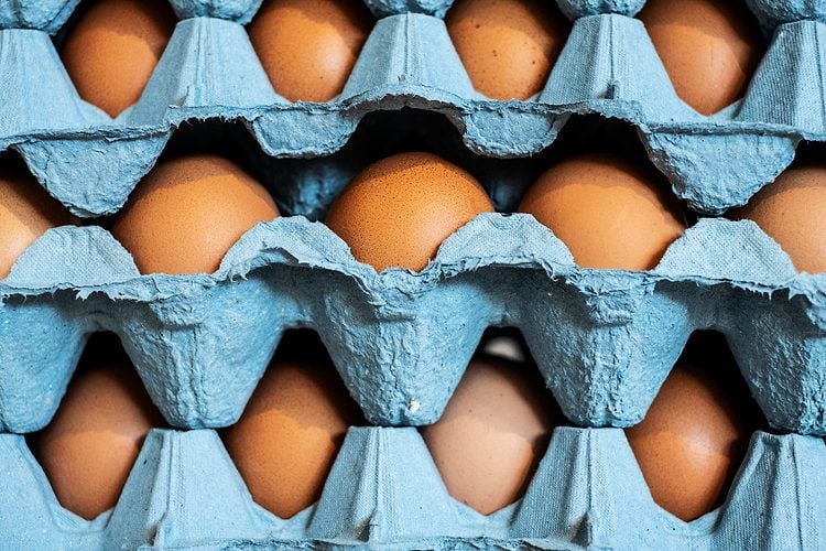 Egg recall upgraded to FDA’s highest risk level: ‘Serious adverse health consequences or death’