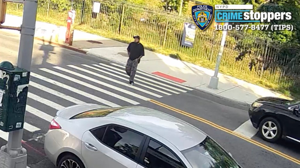 Ruthless gunman who injured adorable service dog arrested for wild shooting on NYC street: cops