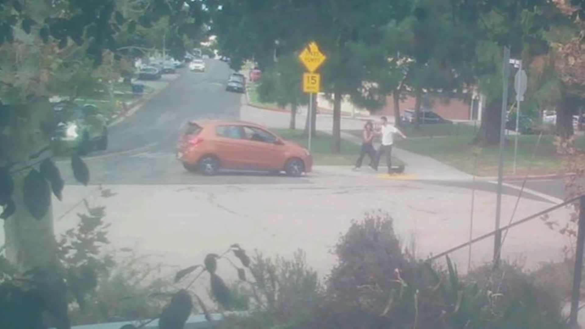 Terrifying moment deranged driver tries to run over couple and their dog at LA park: ‘Bet you’re f—ing scared now’