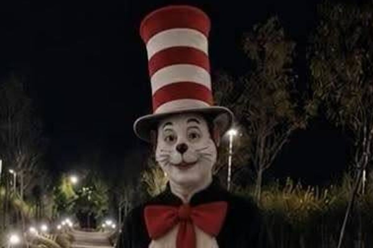 Police forced to issue statement after 'Cat in the Hat' pictured terrorising streets