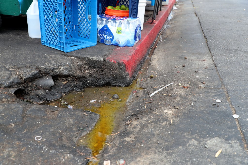 Dog-eaten meat, rats and urine: Stomach-churning details of 10K LA street food complaints revealed