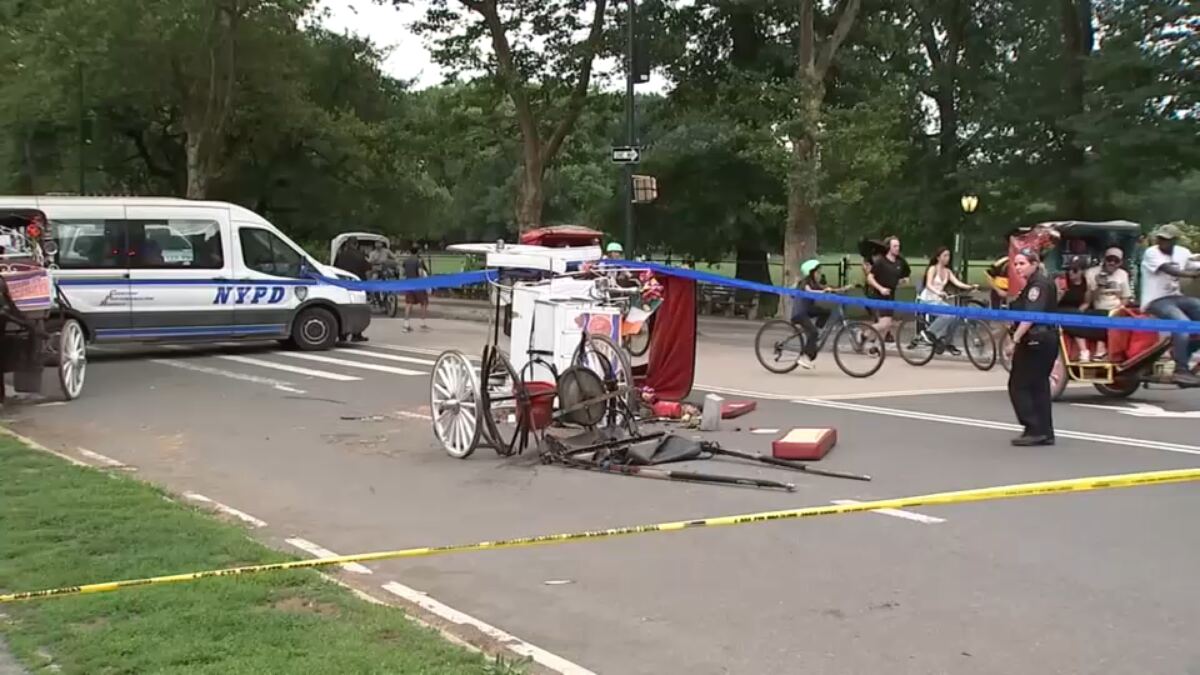 Family of teen killed in tragic Central Park horse and buggy mishap to sue NYC for $105M