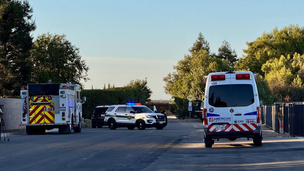 Woman is third person to die in fireball plane crash that killed two kids in California