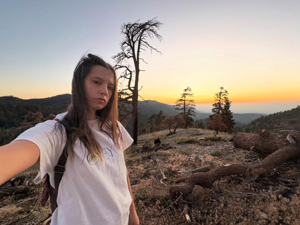 Victims in horrific Wrightwood ejection crash that killed 4 identified as disturbing details emerge