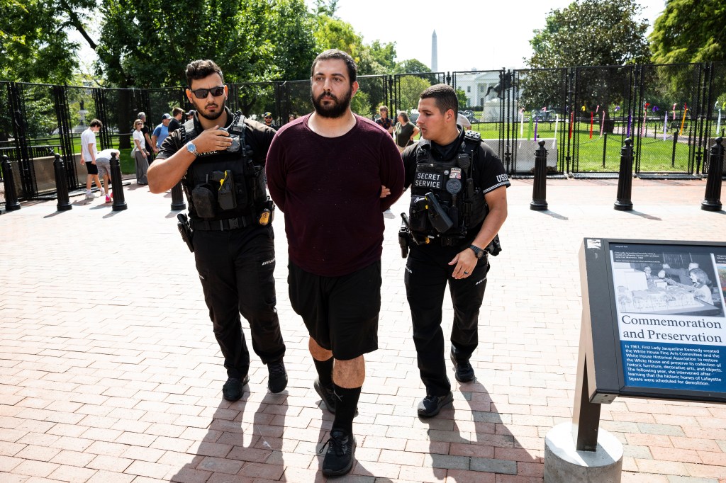 Deranged man allegedly drives on sidewalk near White House, demands to speak to Trump